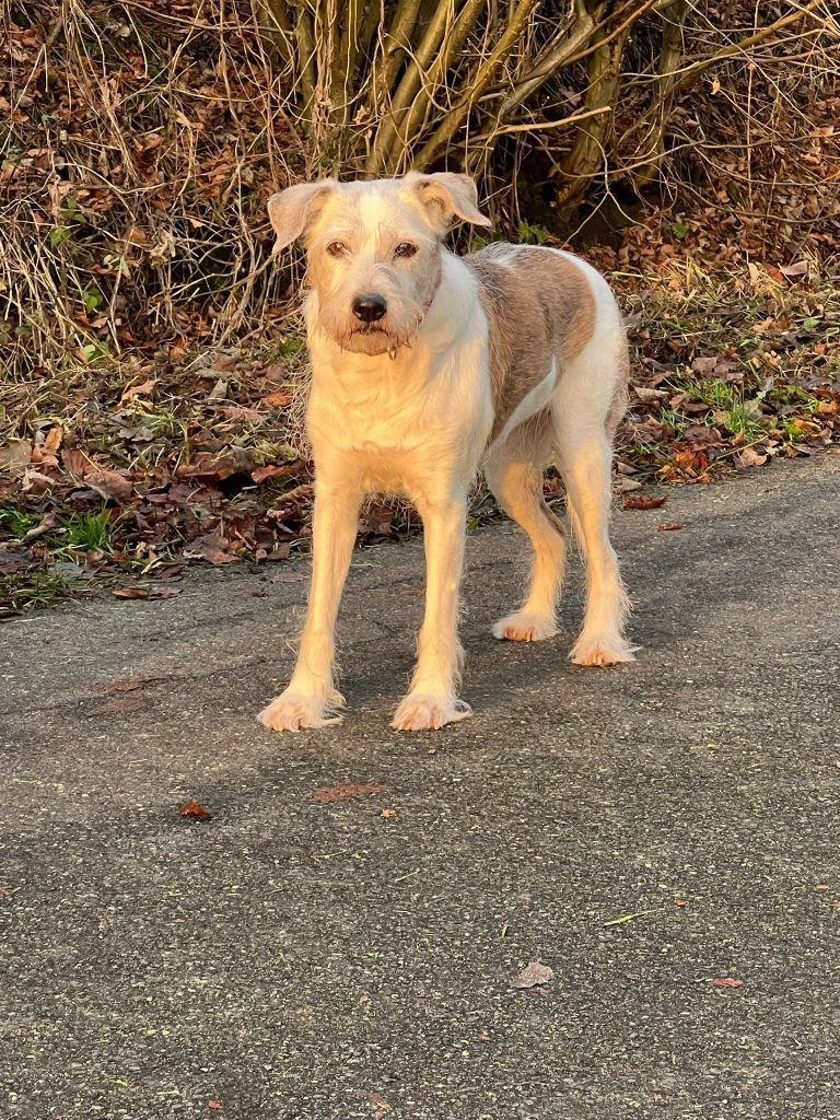 Dieses Bild hat ein leeres Alt-Attribut. Der Dateiname ist 47f9bddb-8887-4613-92bc-1e4504fb8e99-768x1024.jpg