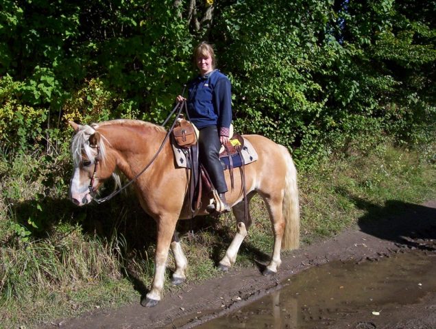 welch ein schönes Pferd!
