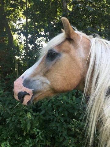 ich liebe sein buntes Mäulchen