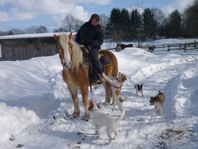 auf gehts mit Billy, Jule und klein Adelchen;O)
