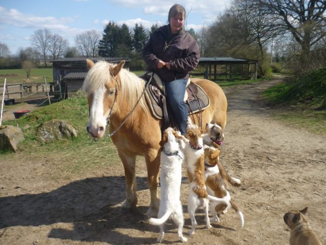 hier war Abraxa zu Besuch