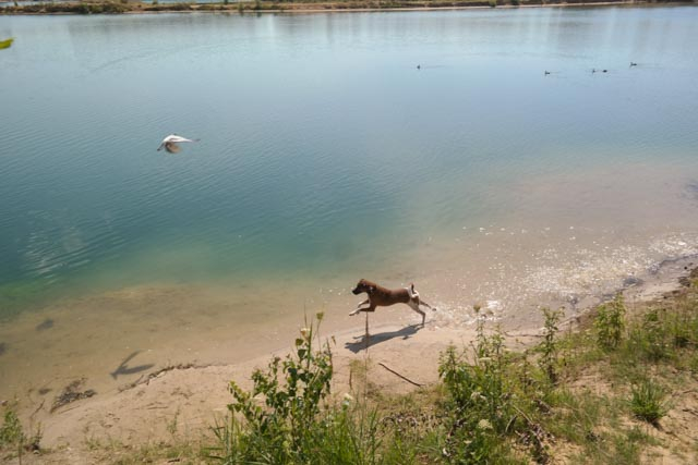 Wasserfreuden 2015