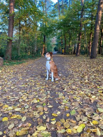 Elmo mit 8 Jahren