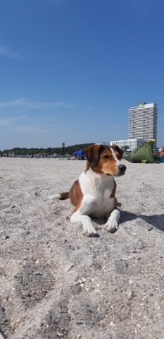 Sommer 2020