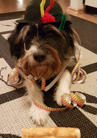Dezember 2019